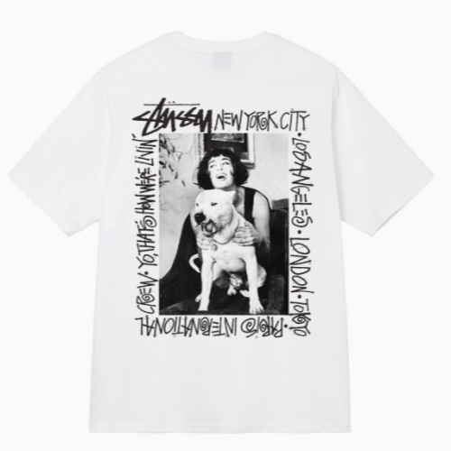 Stussy tee(100 colorways)