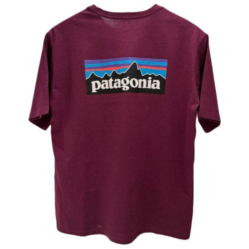 patagonia
Shirt