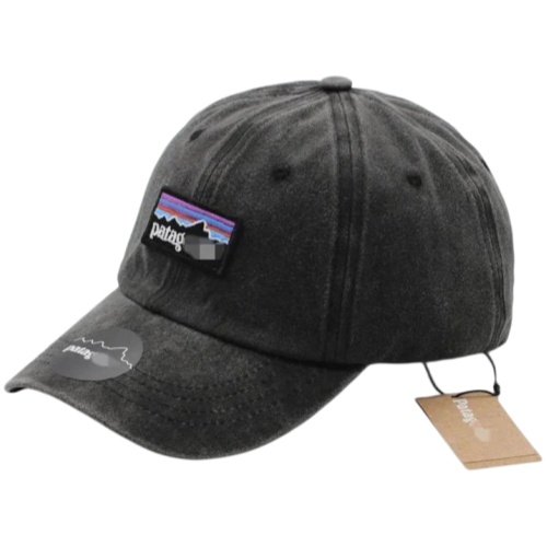 Patagonia cap