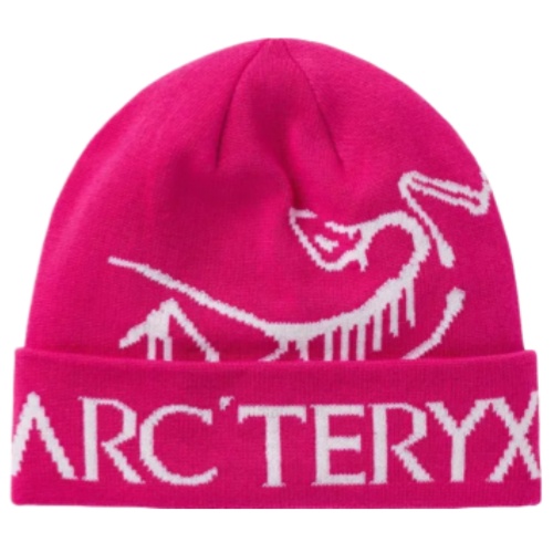 Arcteryx Thick Beanie
