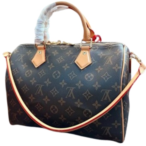 LV Speedy/Traveling Bag