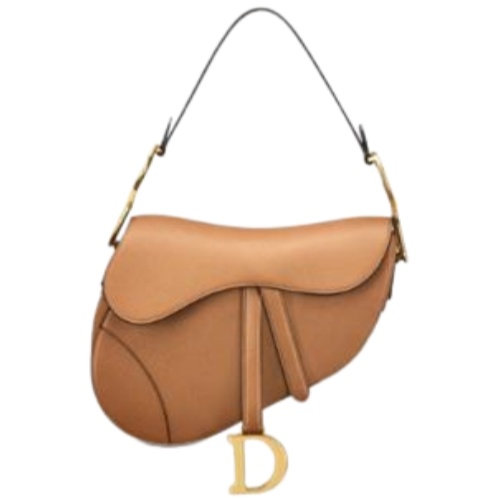 DIOR Saddle