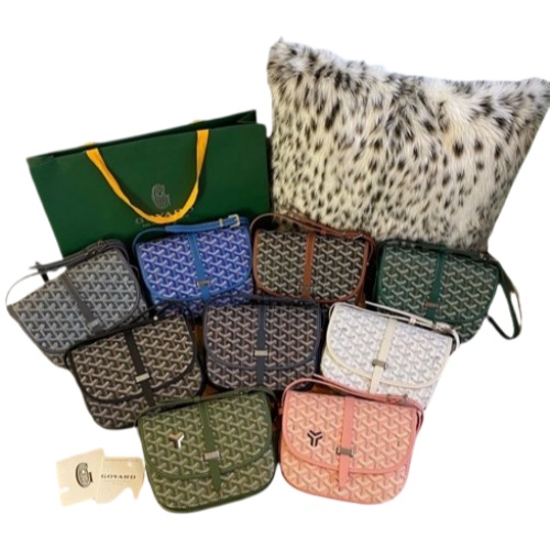 Goyard belvedere bag