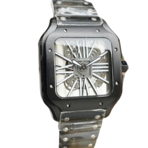 Cartier Santos Skeleton