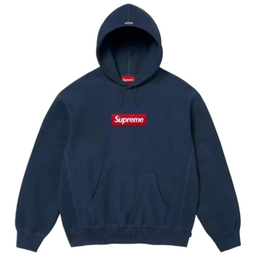 Supreme Box Logo Hoodie 24