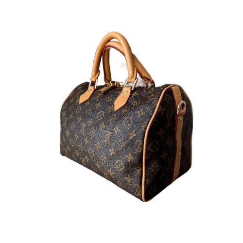 LV Speedy/Traveling Bag