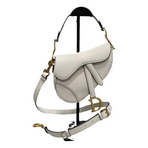 DIOR Saddle