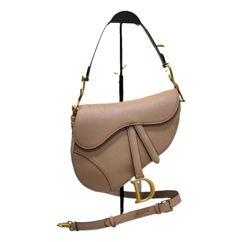 DIOR Saddle