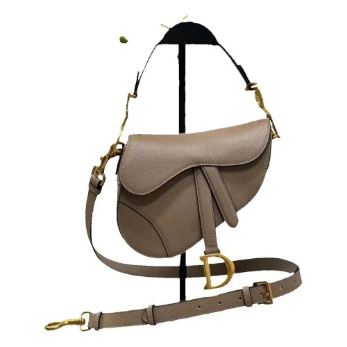 DIOR Saddle