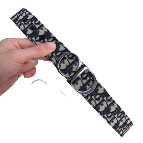 Best batch for Dior Belt