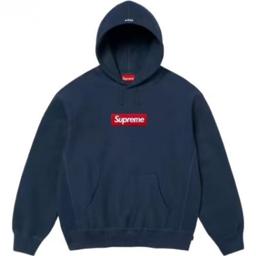 Supreme Box Logo Hoodie 24