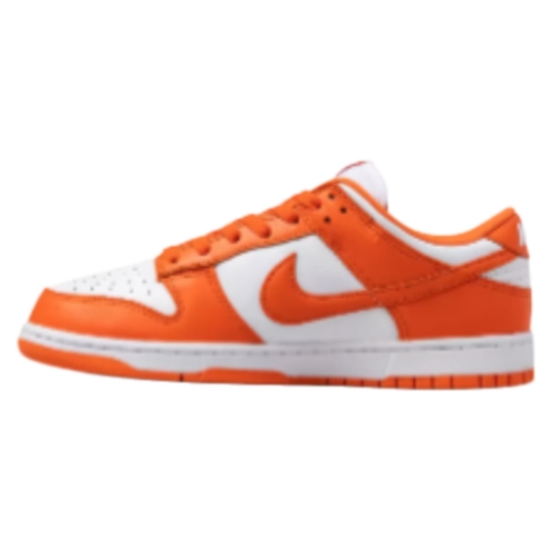 Nike Dunk Syracuse