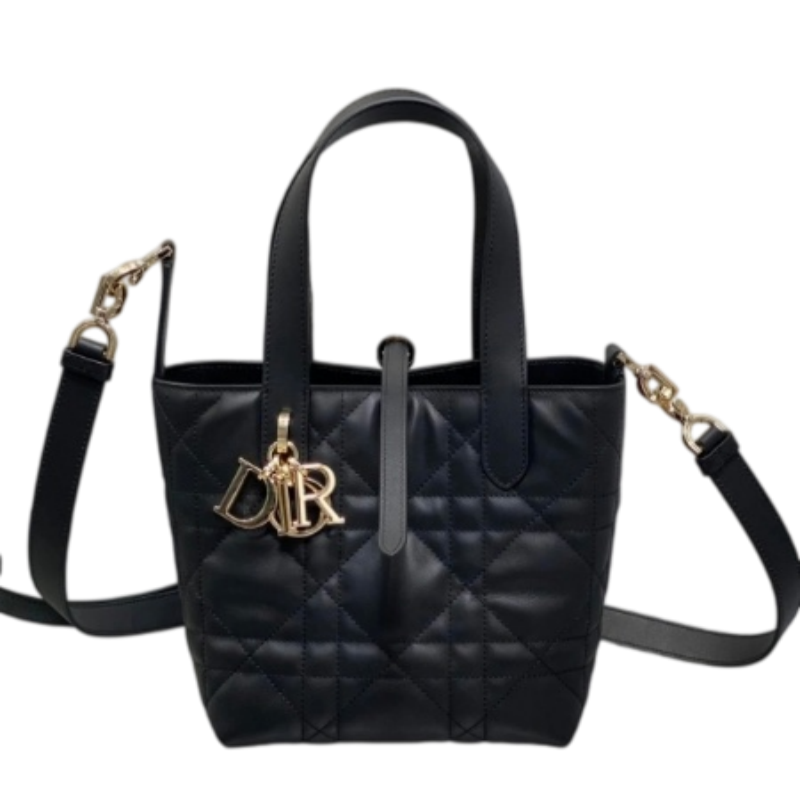 Lady DIOR