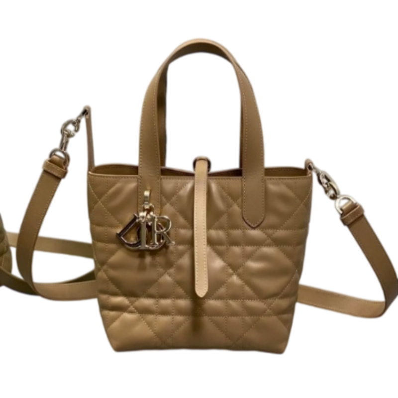 Lady DIOR