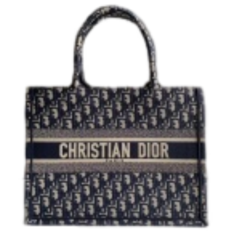 DIOR Saddle