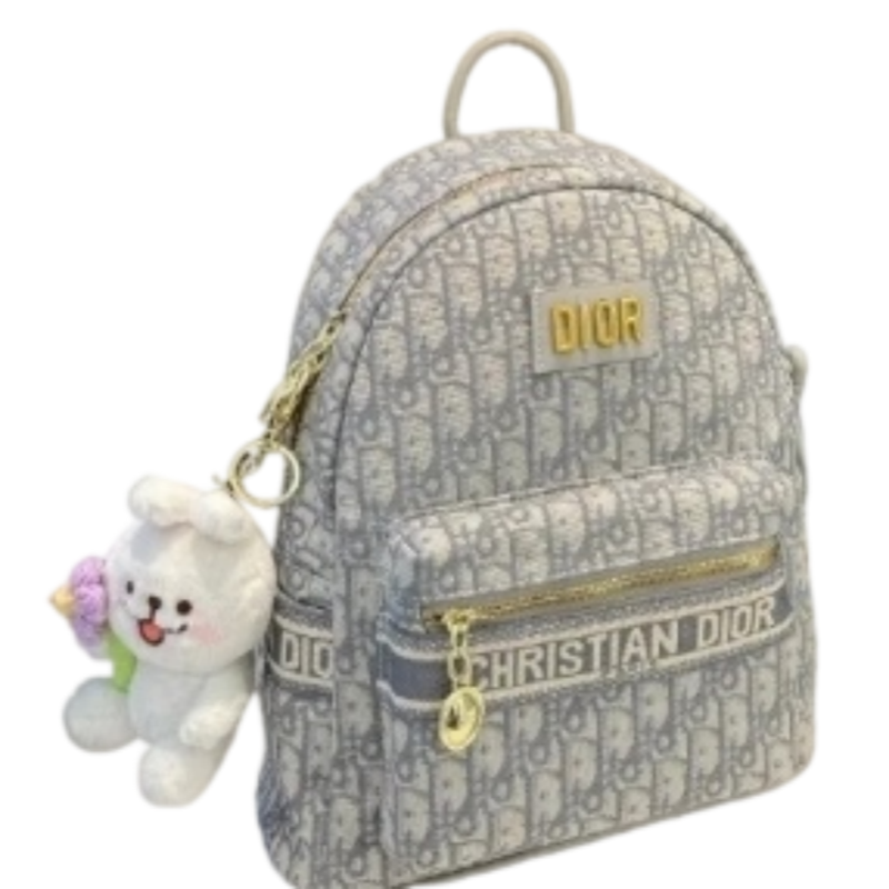 DIOR Book Tote